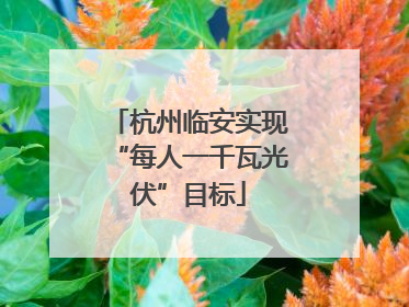 杭州临安实现“每人一千瓦光伏”目标