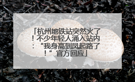 杭州地铁站突然火了！不少年轻人涌入站内：“我身高到凤起路了！”官方回应