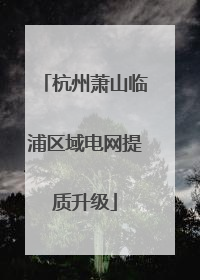 杭州萧山临浦区域电网提质升级