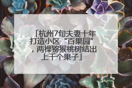 杭州7旬夫妻十年打造小区“百果园”，两棵猕猴桃树结出上千个果子