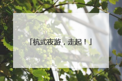 杭式夜游，走起！