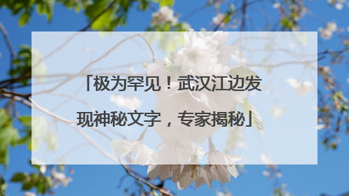 极为罕见！武汉江边发现神秘文字，专家揭秘