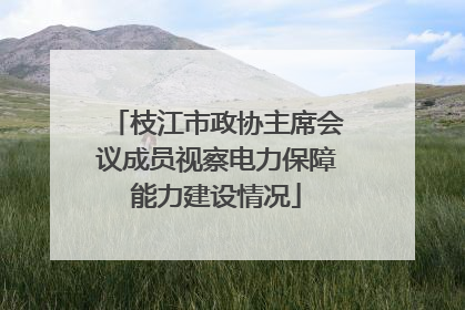 枝江市政协主席会议成员视察电力保障能力建设情况