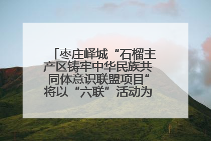 枣庄峄城“石榴主产区铸牢中华民族共同体意识联盟项目”将以“六联”活动为抓手深化品牌建设