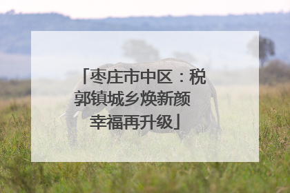 枣庄市中区：税郭镇城乡焕新颜 幸福再升级