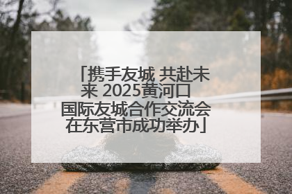 携手友城 共赴未来 2025黄河口国际友城合作交流会在东营市成功举办