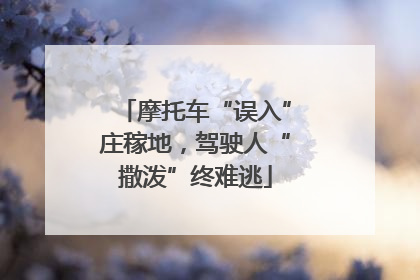 摩托车“误入”庄稼地，驾驶人“撒泼”终难逃