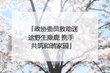 政协委员救助迷途野生麋鹿 携手共筑和谐家园