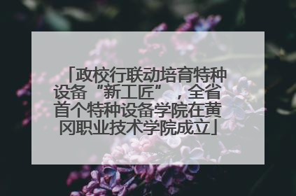 政校行联动培育特种设备“新工匠”，全省首个特种设备学院在黄冈职业技术学院成立