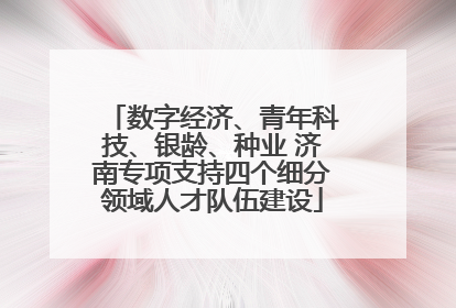 数字经济、青年科技、银龄、种业 济南专项支持四个细分领域人才队伍建设