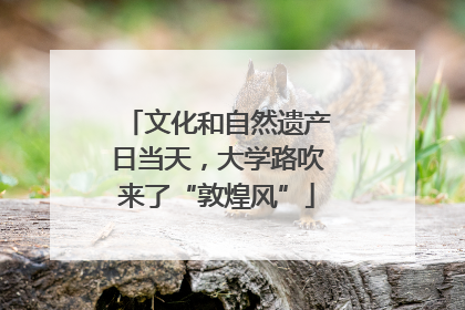 文化和自然遗产日当天，大学路吹来了“敦煌风”