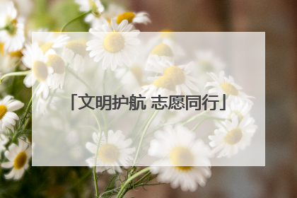文明护航 志愿同行