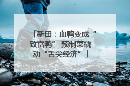 新田：血鸭变成“致富鸭” 预制菜撬动“舌尖经济”