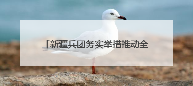 新疆兵团务实举措推动全民学习民法典 用法治力量托起群众“稳稳的幸福”