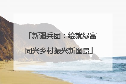 新疆兵团：绘就绿富同兴乡村振兴新图景
