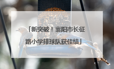 新突破！襄阳市长征路小学排球队获佳绩