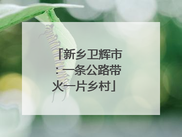 新乡卫辉市：一条公路带火一片乡村