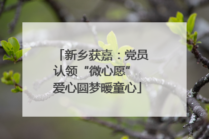 新乡获嘉：党员认领“微心愿” 爱心圆梦暖童心