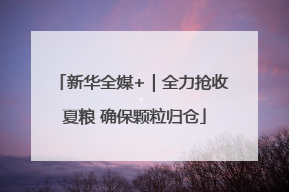 新华全媒+｜全力抢收夏粮 确保颗粒归仓