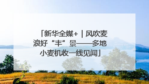 新华全媒+｜风吹麦浪好“丰”景——多地小麦机收一线见闻