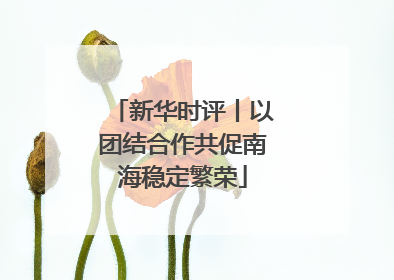 新华时评丨以团结合作共促南海稳定繁荣