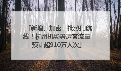 新增、加密一批热门航线！杭州机场暑运客流量预计超910万人次