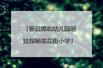 新晨锦和幼儿园萌娃探秘莲花街小学