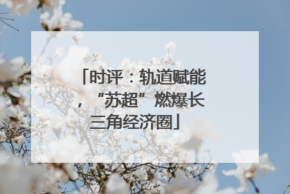 时评：轨道赋能，“苏超”燃爆长三角经济圈