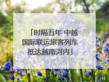 时隔五年 中越国际联运旅客列车抵达越南河内