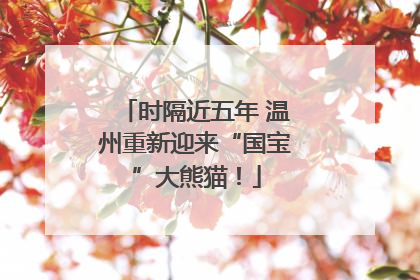 时隔近五年 温州重新迎来“国宝”大熊猫！