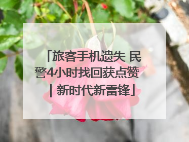 旅客手机遗失 民警4小时找回获点赞｜新时代新雷锋