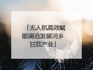 无人机高效赋能澜沧发展河乡甘蔗产业