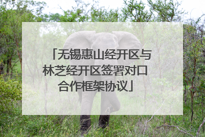无锡惠山经开区与林芝经开区签署对口合作框架协议