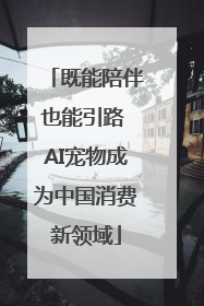 既能陪伴也能引路 AI宠物成为中国消费新领域