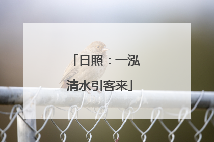 日照：一泓清水引客来