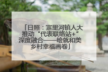 日照：寨里河镇人大推动“代表联络站+”深度融合——绘就和美乡村幸福画卷
