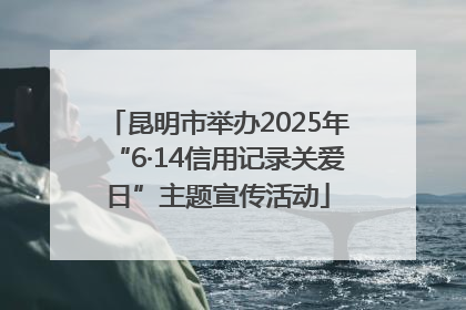 昆明市举办2025年“6·14信用记录关爱日”主题宣传活动