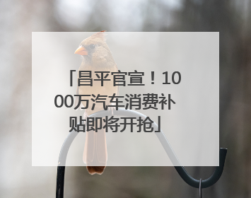 昌平官宣！1000万汽车消费补贴即将开抢