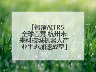 智澄AITR5全球首秀 杭州未来科技城机器人产业生态加速成型