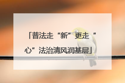 普法走“新”更走“心”法治清风润基层