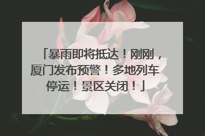 暴雨即将抵达！刚刚，厦门发布预警！多地列车停运！景区关闭！
