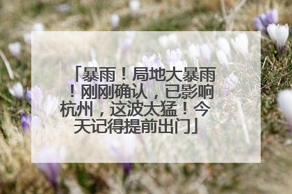 暴雨！局地大暴雨！刚刚确认，已影响杭州，这波太猛！今天记得提前出门