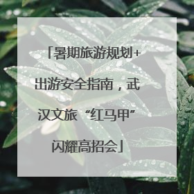 暑期旅游规划+出游安全指南，武汉文旅“红马甲”闪耀高招会