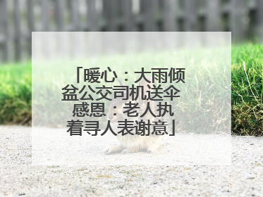 暖心：大雨倾盆公交司机送伞 感恩：老人执着寻人表谢意