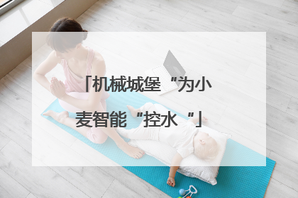 机械城堡“为小麦智能“控水“