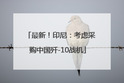 最新！印尼：考虑采购中国歼-10战机
