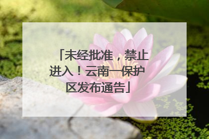 未经批准，禁止进入！云南一保护区发布通告
