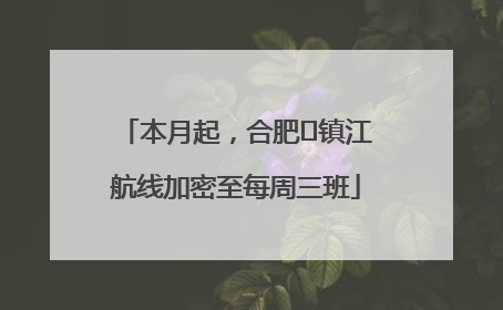 本月起，合肥⇋镇江航线加密至每周三班