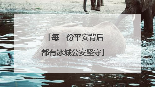 每一份平安背后 都有冰城公安坚守