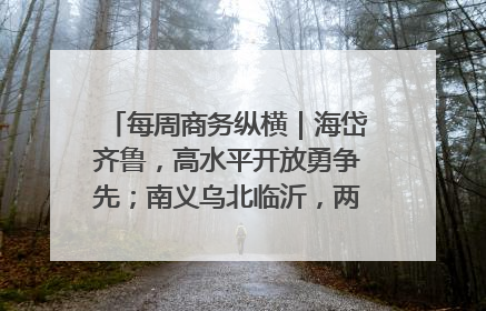 每周商务纵横｜海岱齐鲁，高水平开放勇争先；南义乌北临沂，两扇窗里观外贸